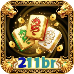 211br