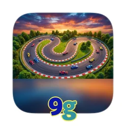 9g