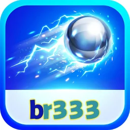 br333