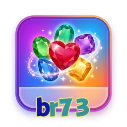 br73